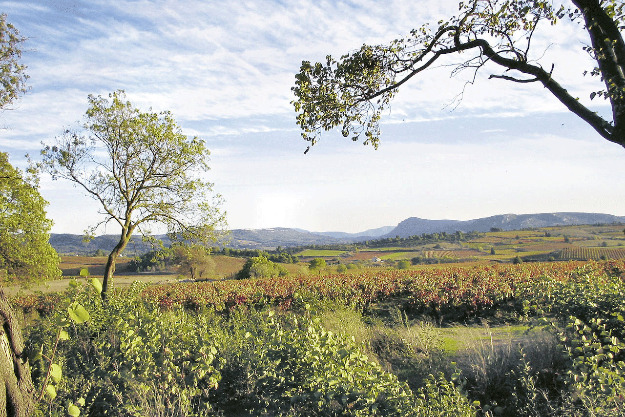 Weingutsbesuch Domaine de Montmarin