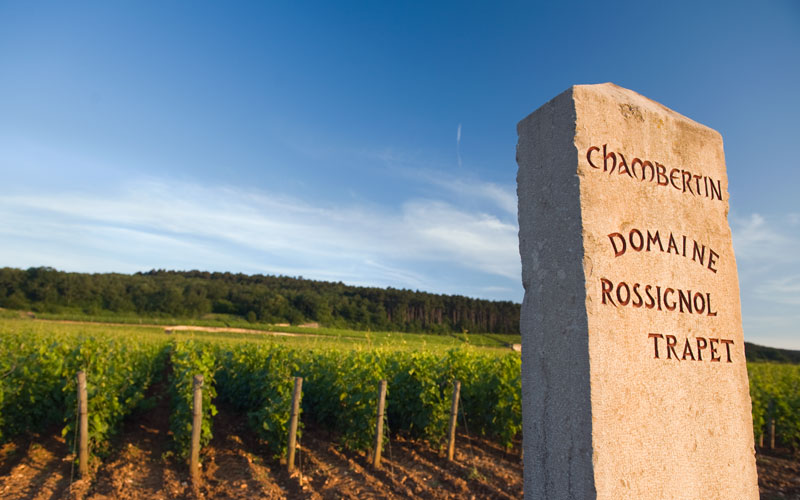 Domaine Rossignol-Trapet