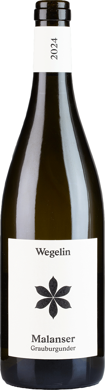 Malanser Grauburgunder