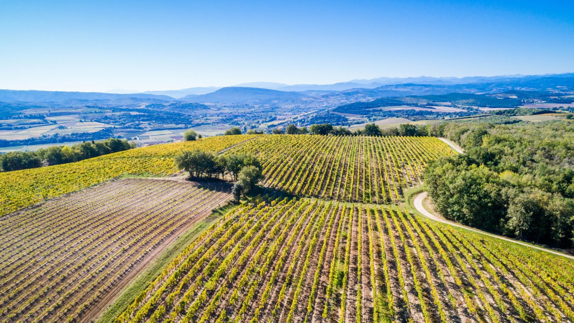 Header_1_Chateau-Rives-BlanquesCLbZDH3RVqRsi