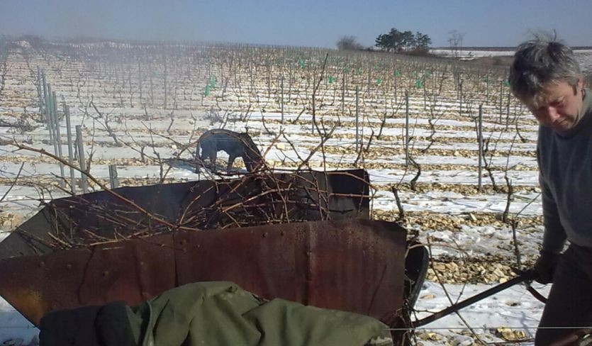 Domaine des Marronniers