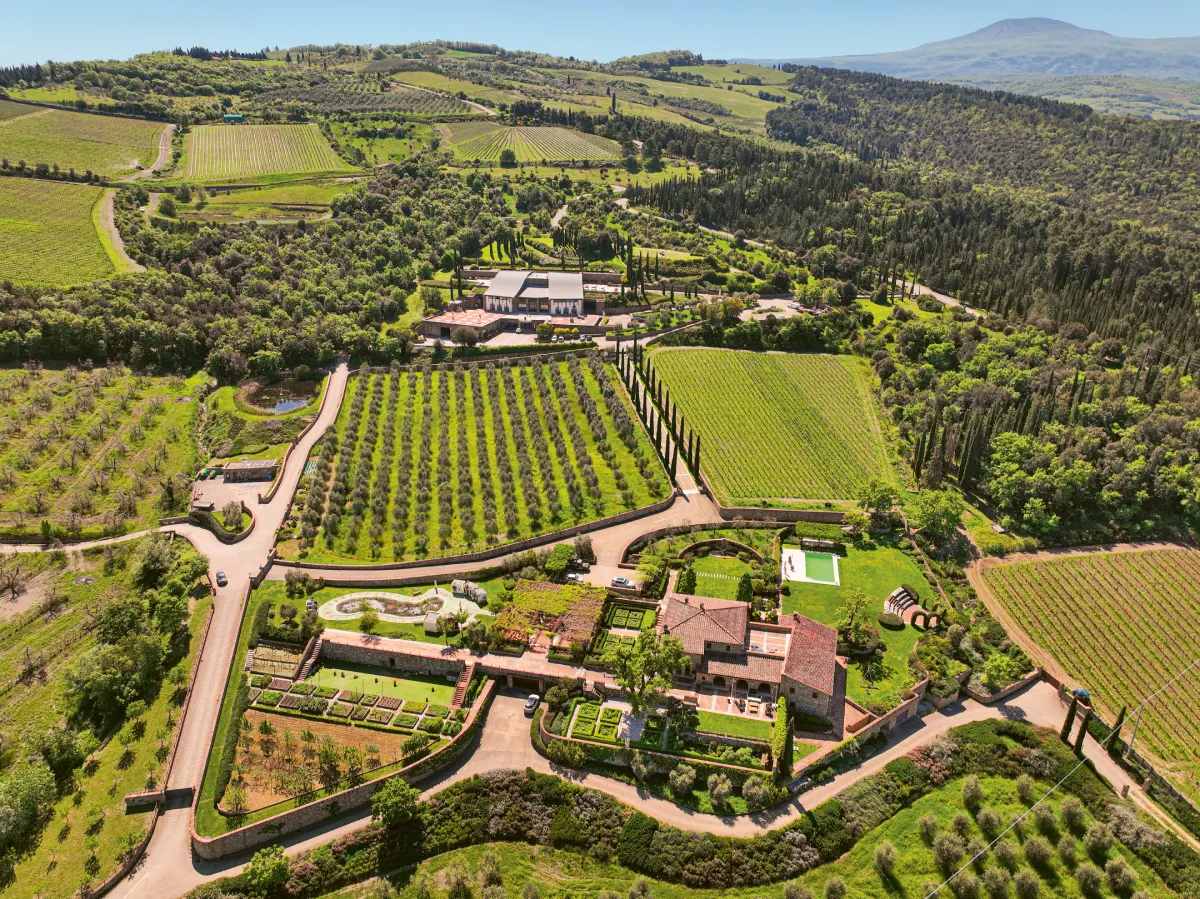 Selection Schwander background image