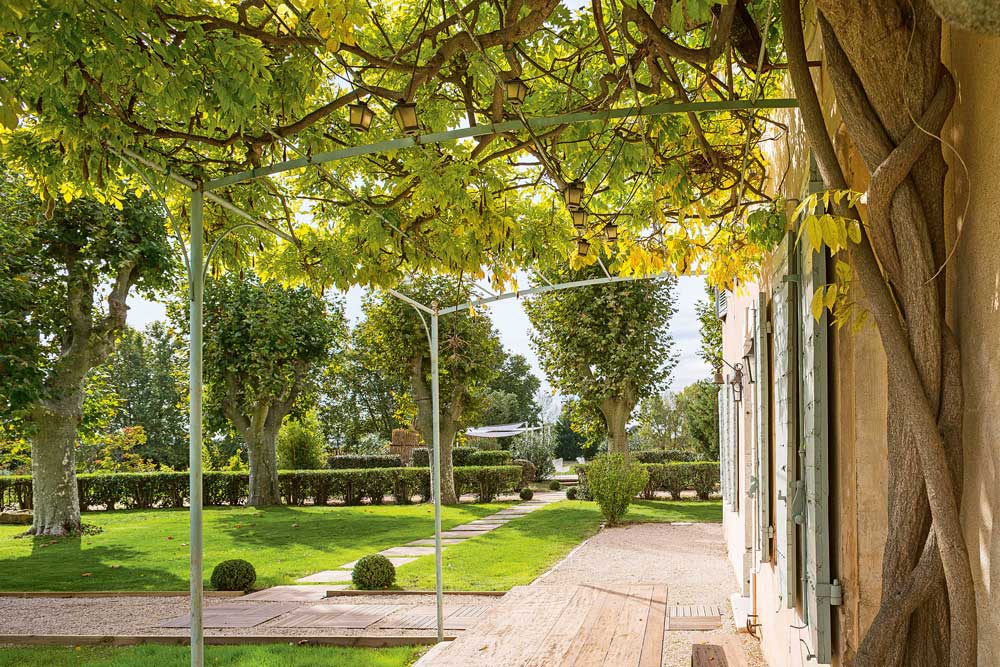 Weingutsbesuch Domaine La Grande Bauquière