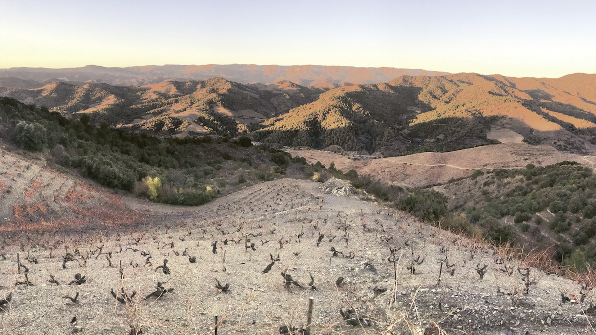 Header_1_Priorat6QsuGZHRq92aY