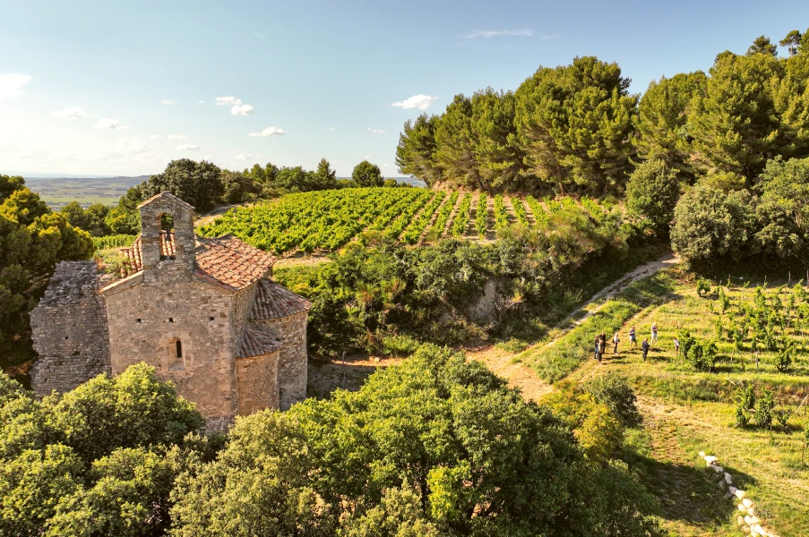 Weingutsbesuch Château de Saint Cosme