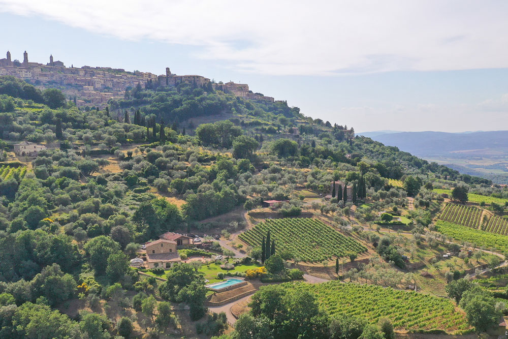 Weingutsbesuch Azienda La Madonna