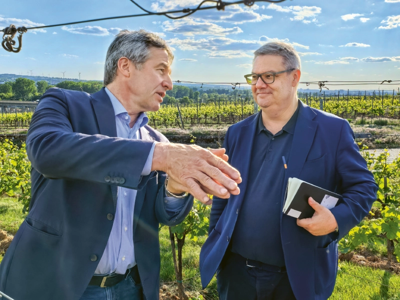 Weingutsbesuch Weingut Künstler