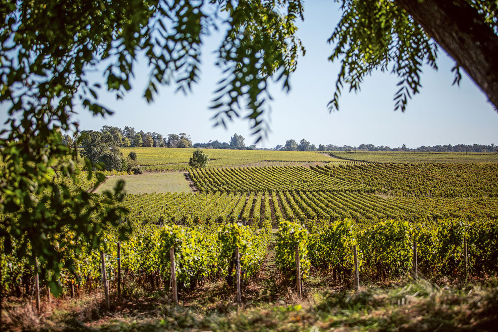 Weingutsbesuch Château Grivière
