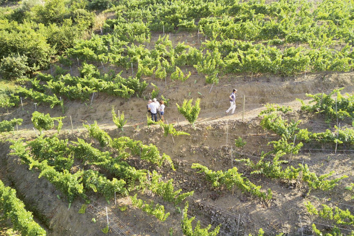 Header_1_encastelloawoaAJ74KM8y