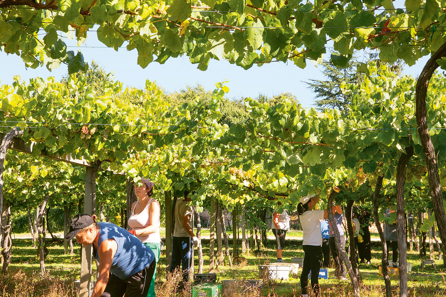 Weingutsbesuch Bodegas Fillaboa