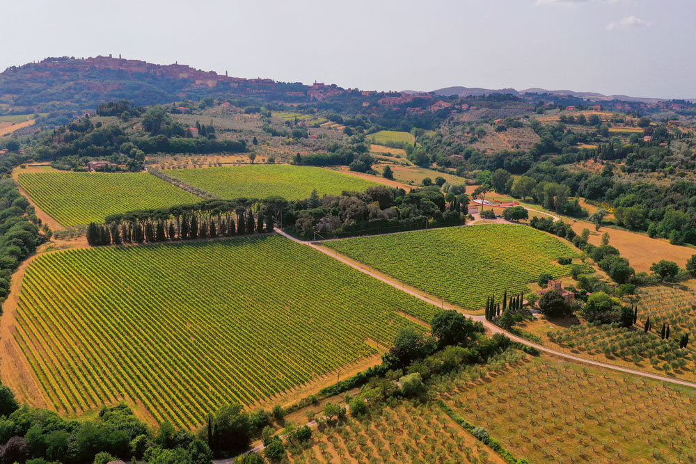 Weingutsbesuch Cantine Dei