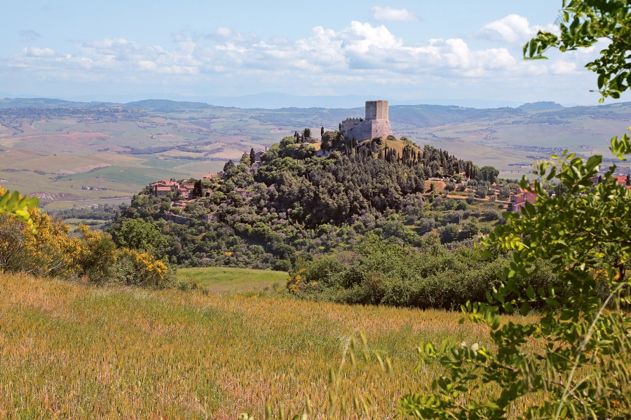 Weingutsbesuch Podere Forte - Guardiavigna