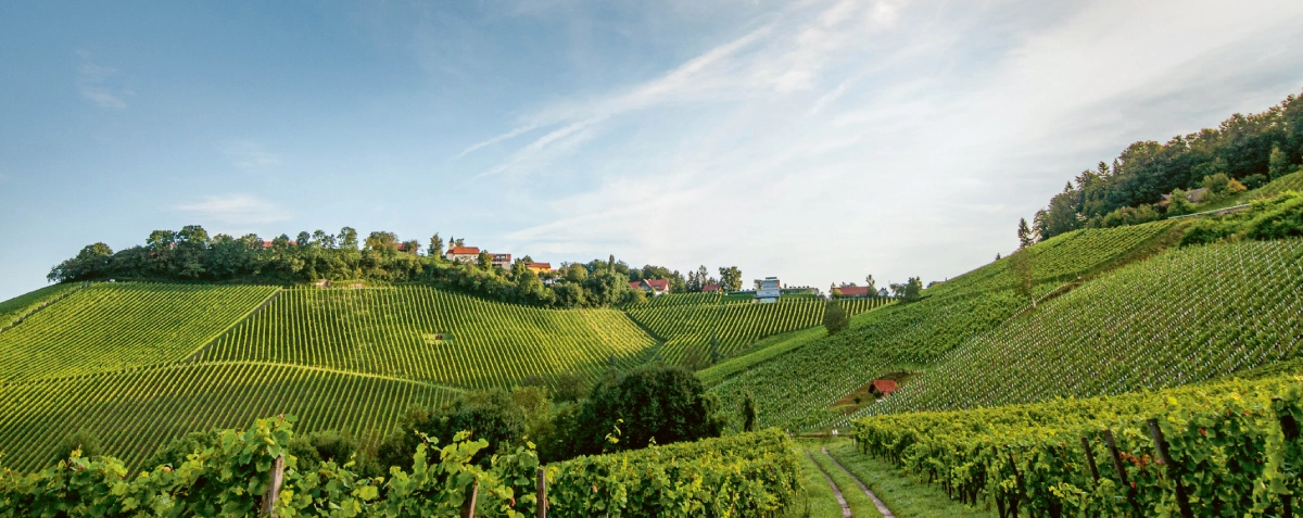 Selection Schwander background image