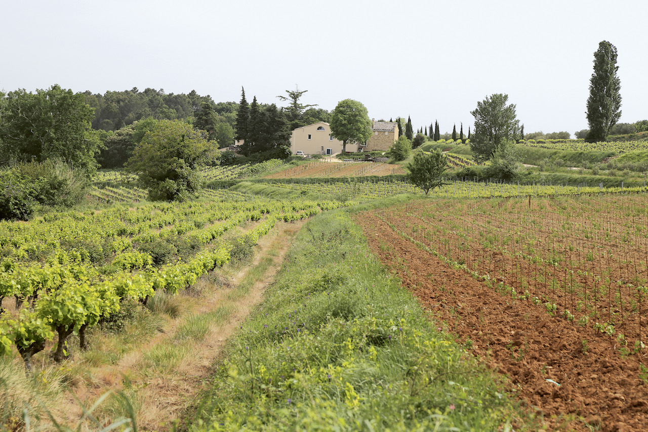 Weingutsbesuch Domaine La Réméjeanne