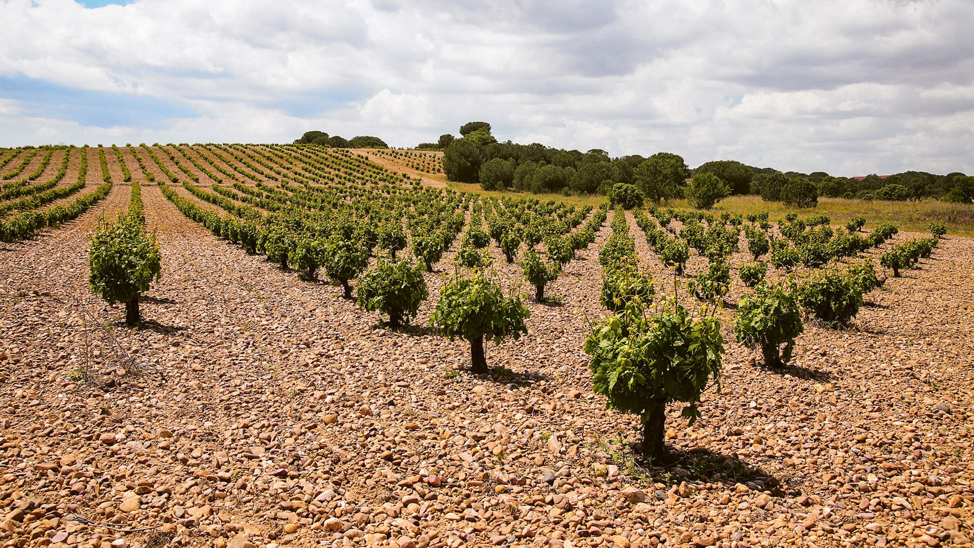 Header_1_QuietuduNPcHrcmDmlyl