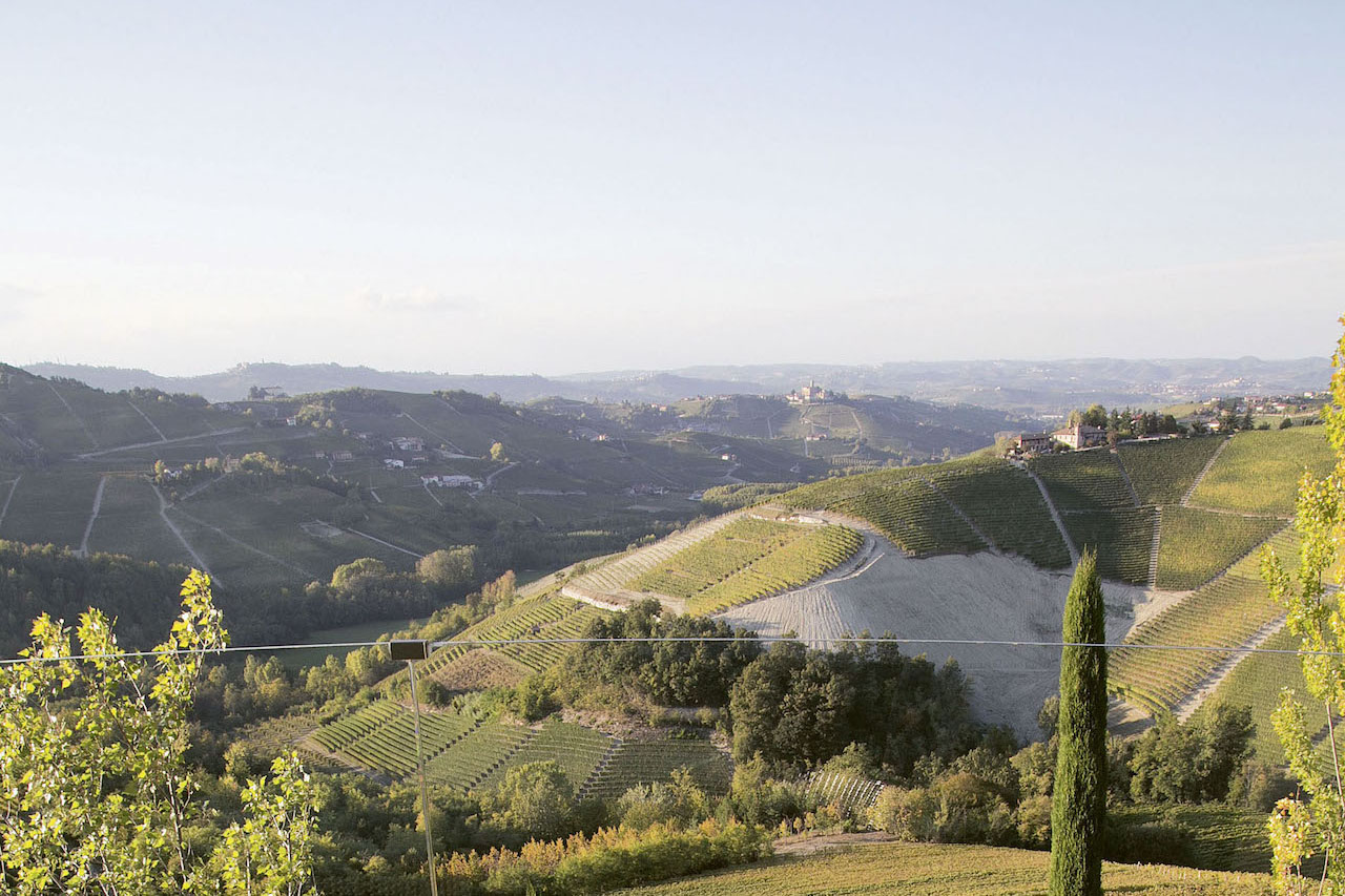 Weingutsbesuch Vietti