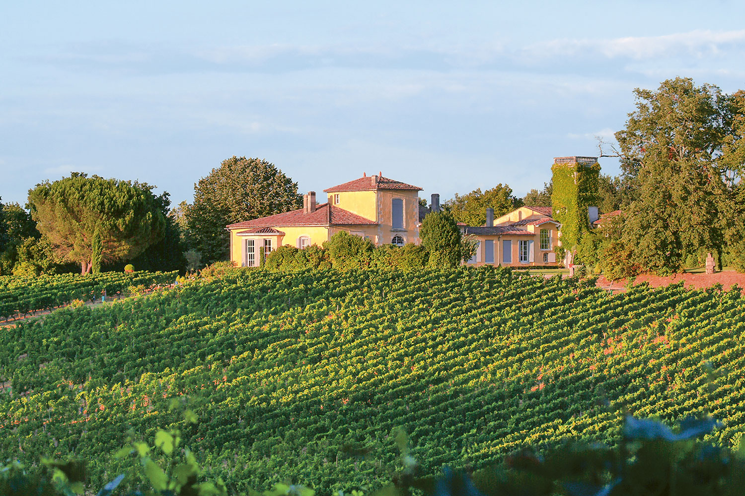 Weingutsbesuch Château le Doyenné