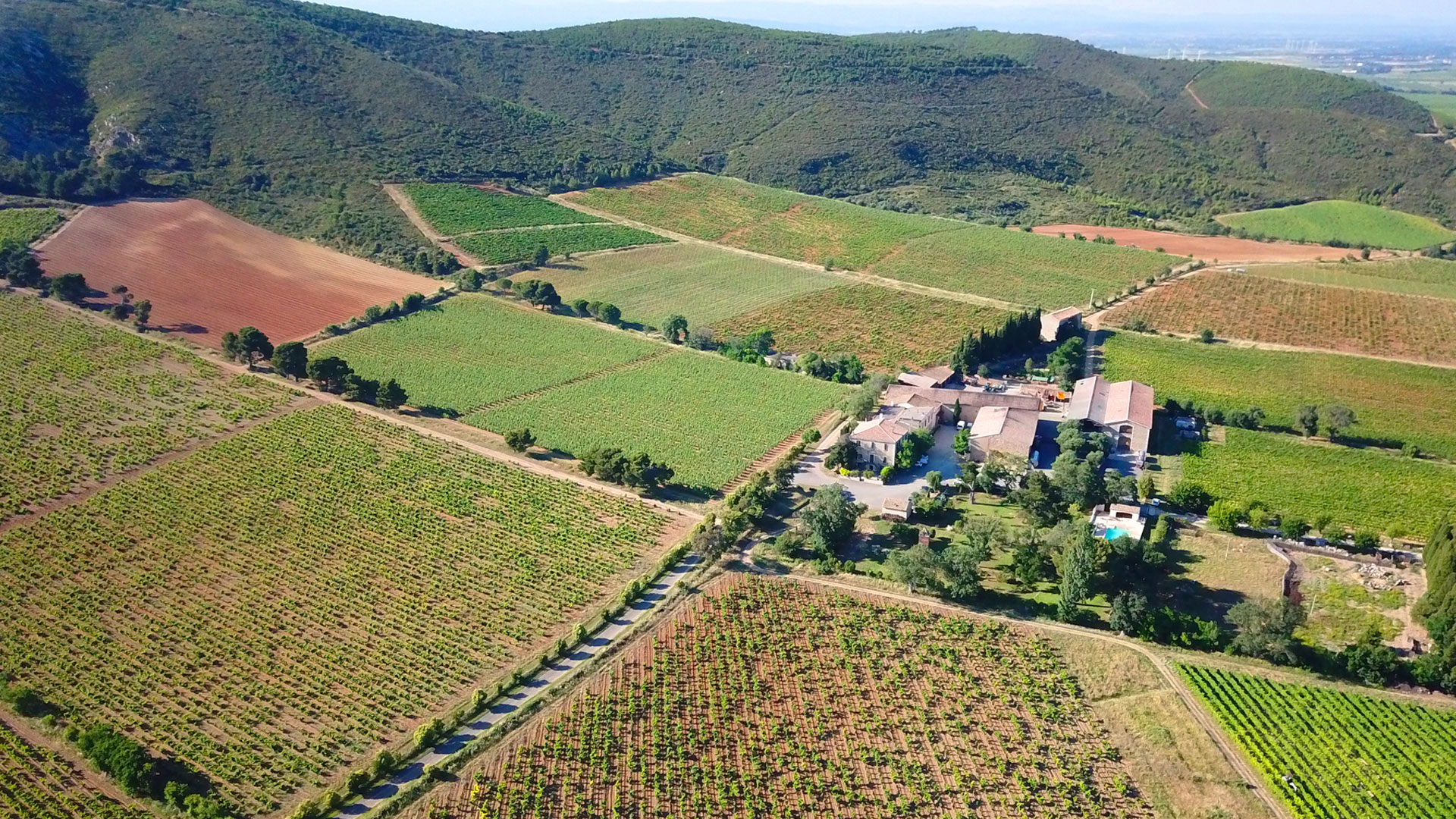 Header_1_Ollieux-romanisGZV7Dk2uVhuVj