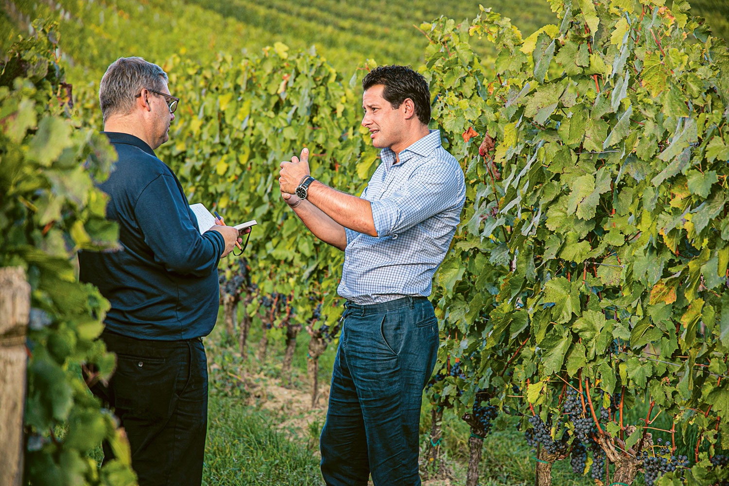 Weingutsbesuch Weingut Philipp Grassl