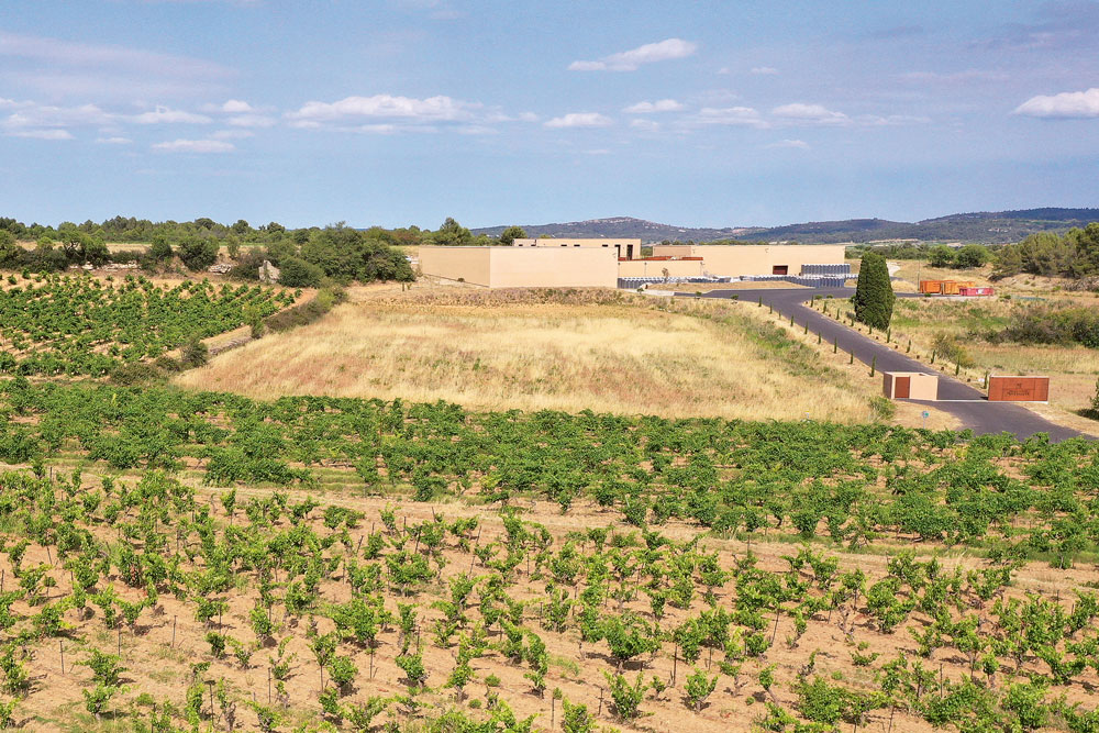 Weingutsbesuch Château Ollieux Romanis