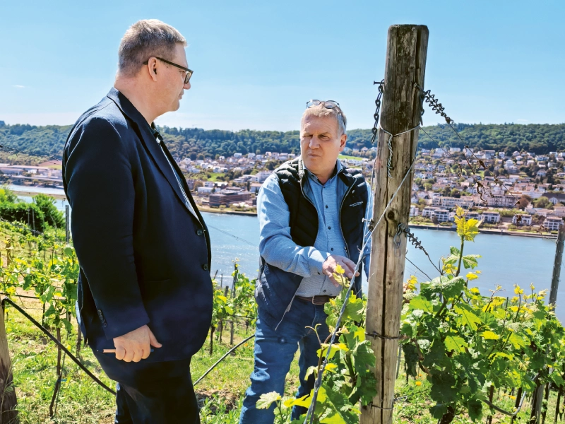 Weingutsbesuch Dr. Corvers-Kauter