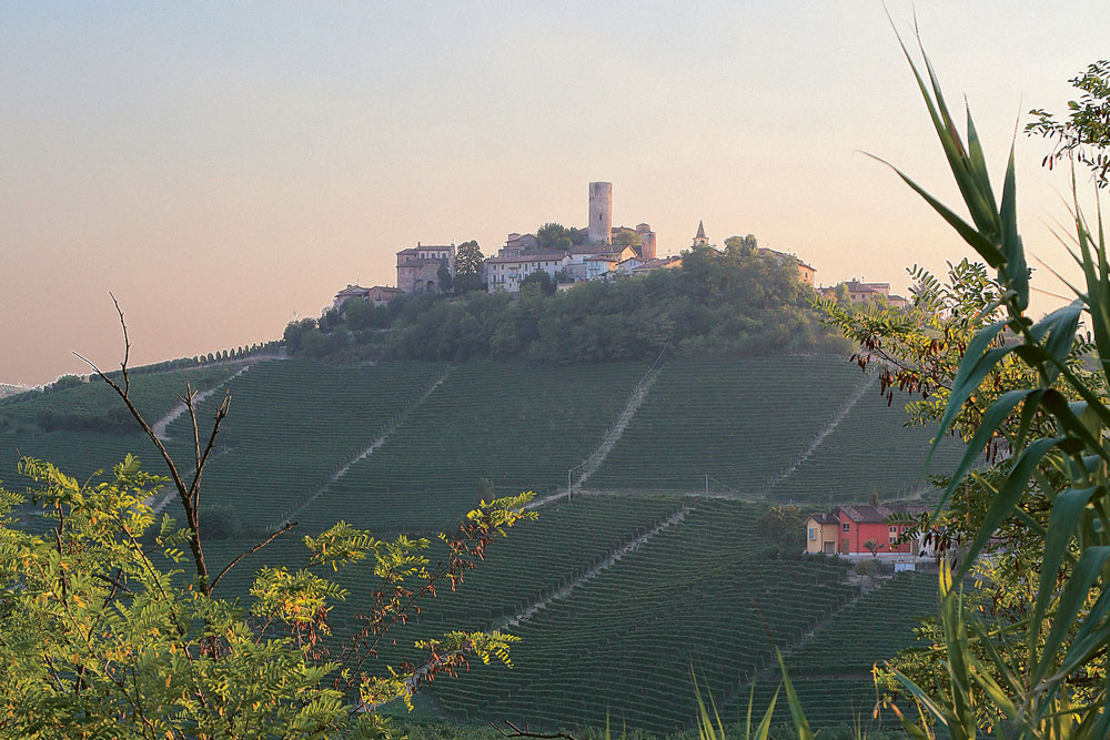 Weingutsbesuch Vietti