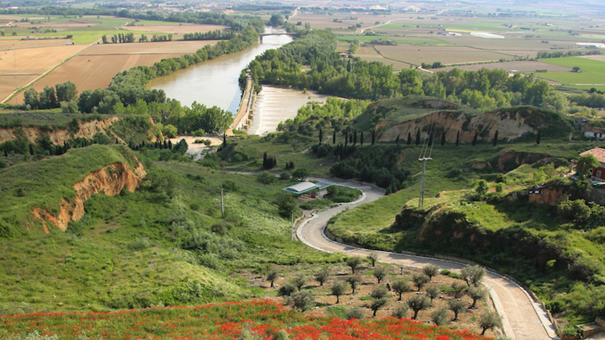Header_1_toroMQdwedX6w84gM
