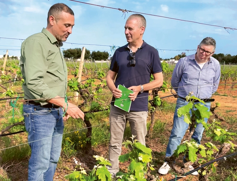Weingutsbesuch Cantine de Falco