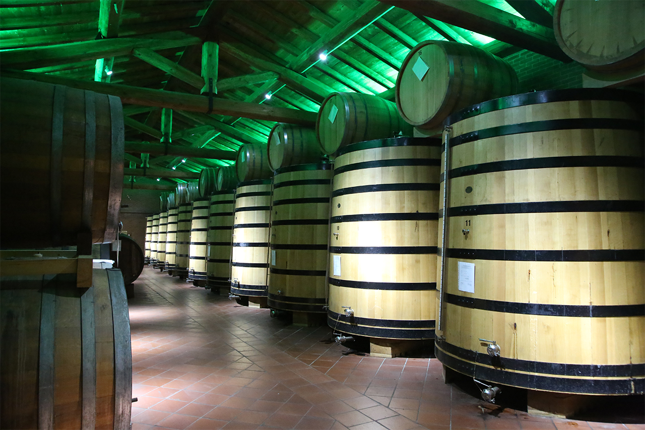Weingutsbesuch Distillerie Berta