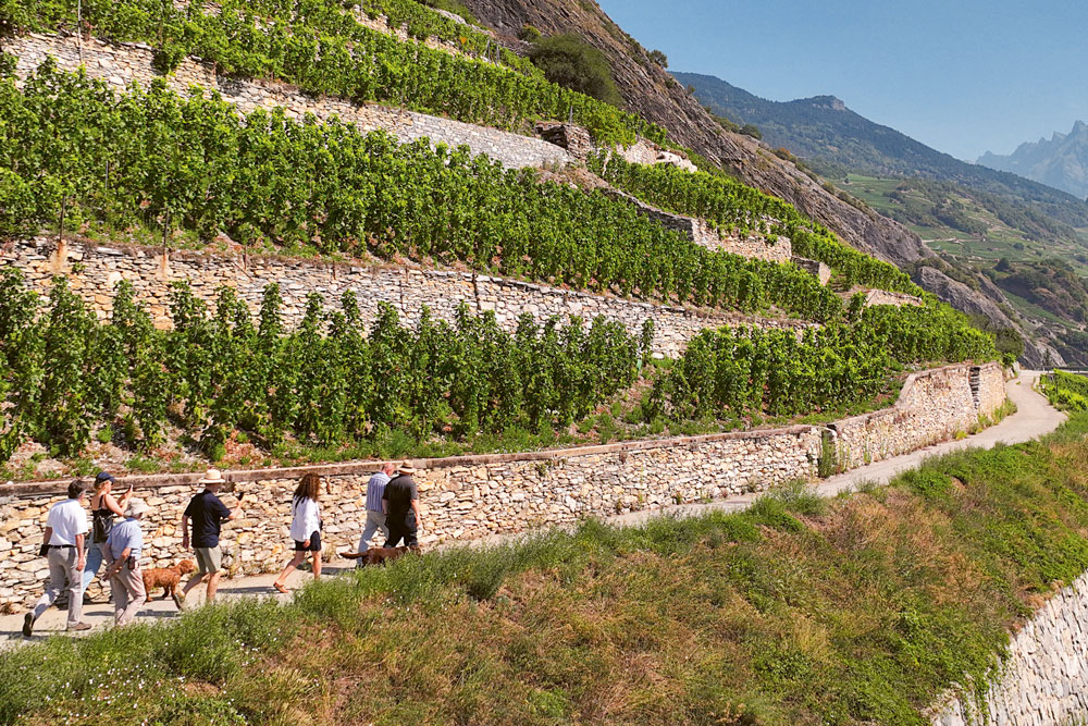 Weingutbesuch Domaine Jean-René Germanier