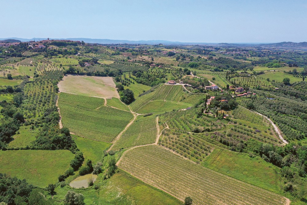 Weingutsbesuch Tenuta Moriniello