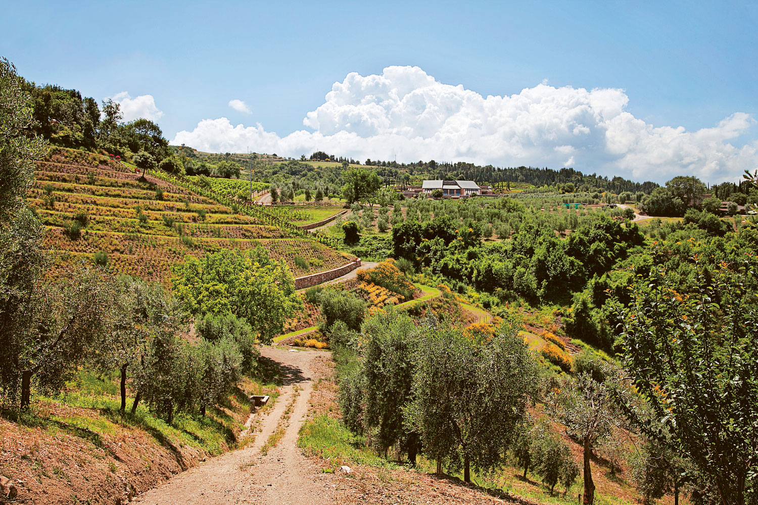 Weingutsbesuch Podere Forte