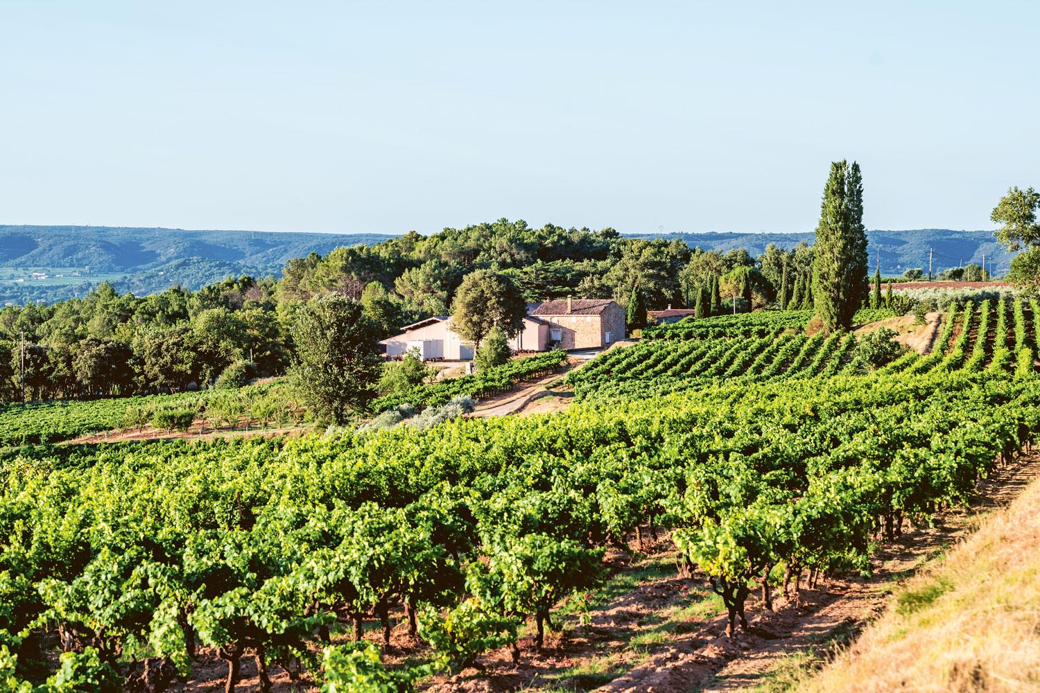 Weingutsbesuch Domaine La Réméjeanne