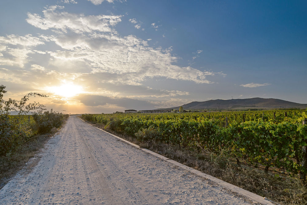 Weingutsbesuch Weingut Graf Neipperg
