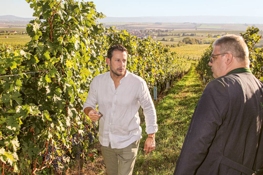 Weingutsbesuch Weingut Philipp Grassl