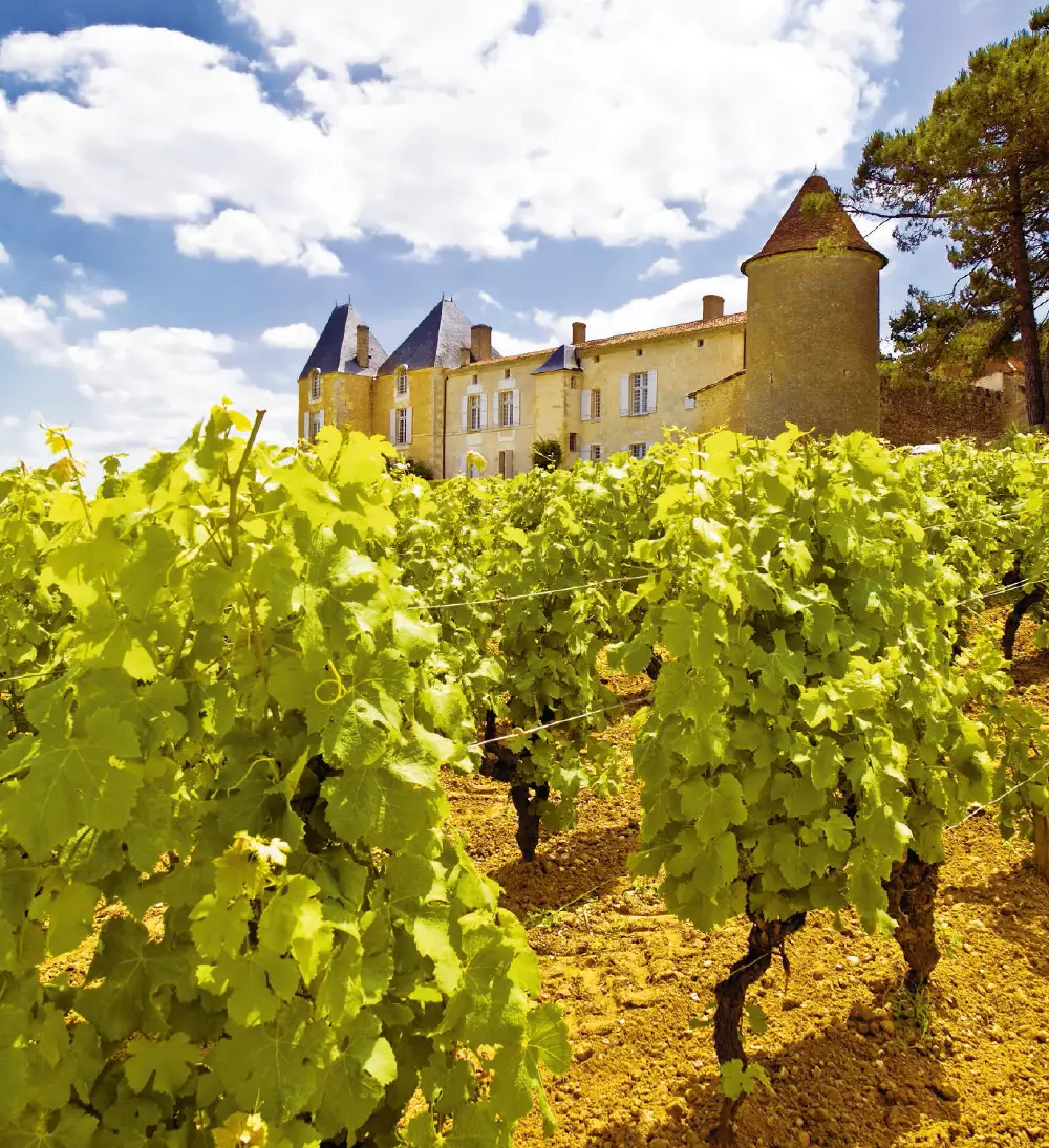 Schwanders Empfehlung: Bordeaux 2014