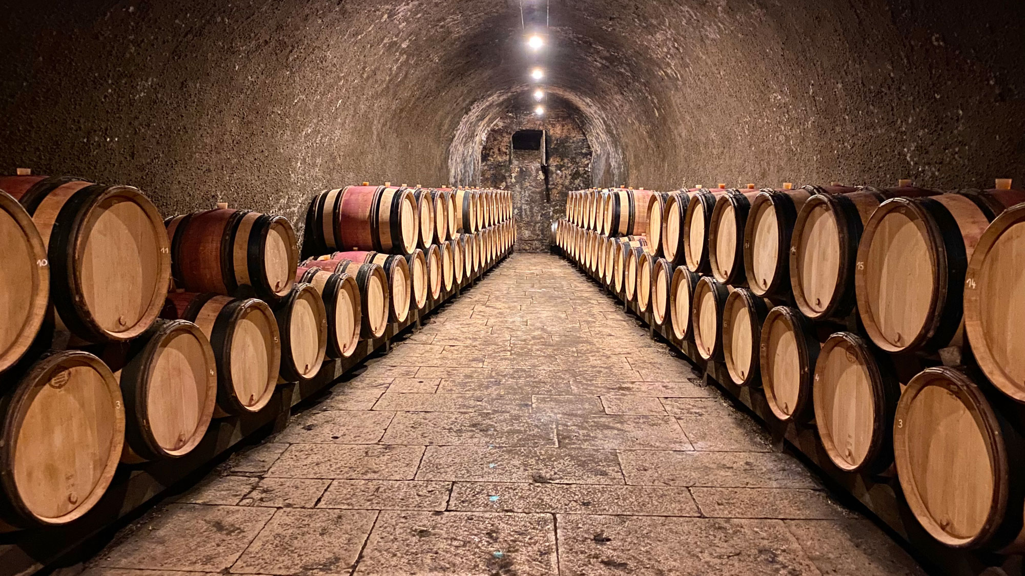 Header_1_chansonLg3qn1u4q7LZP