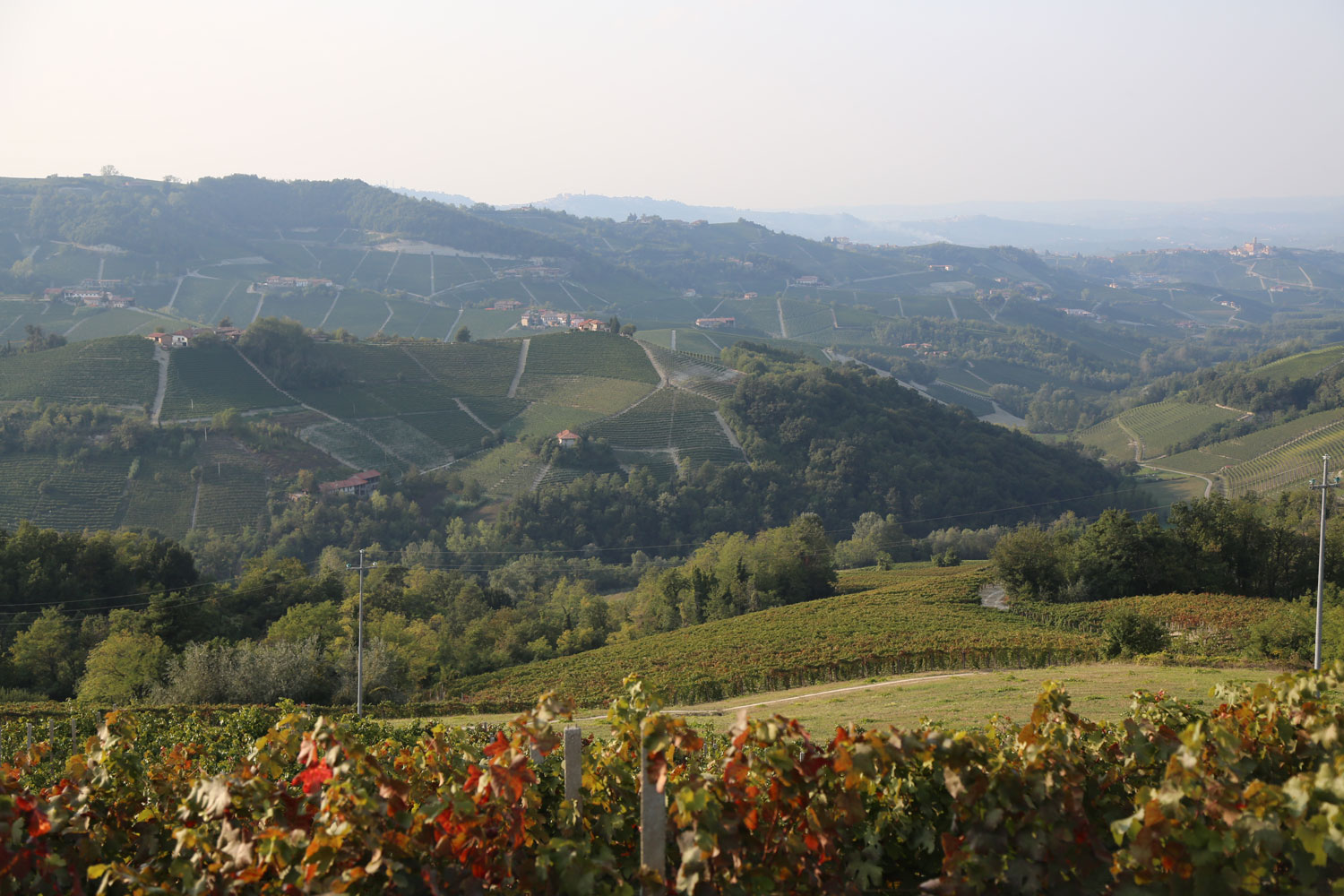Weingutsbesuch Vietti