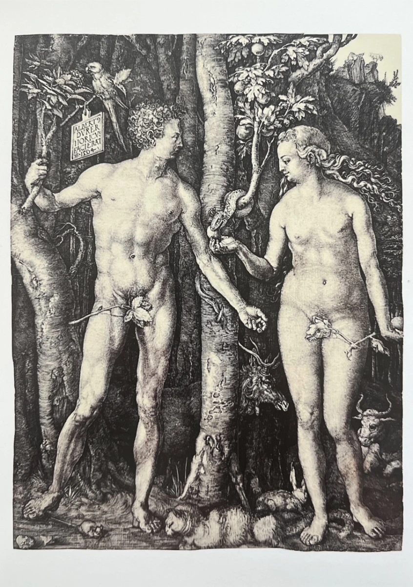 Albrecht Dürer «Adam und Eva» 1504