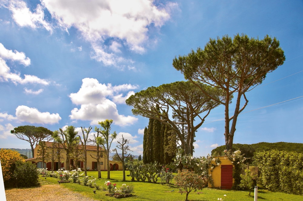 Weingutsbesuch Podere Sapaio
