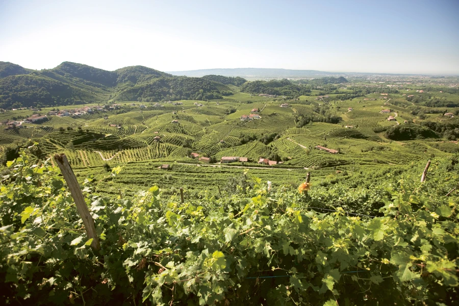 Weingutsbesuch Borgo Molino Vigne & Vini