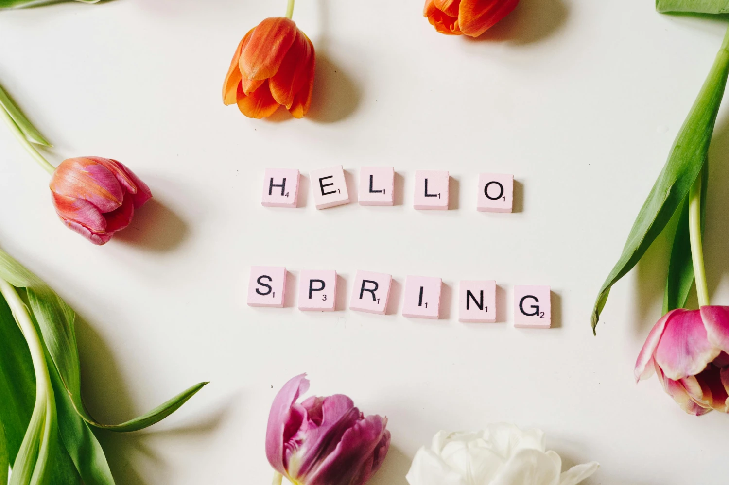 Selection Schwander background image