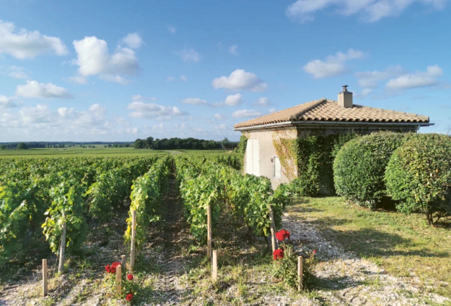 Weingutsbesuch Château Grivière