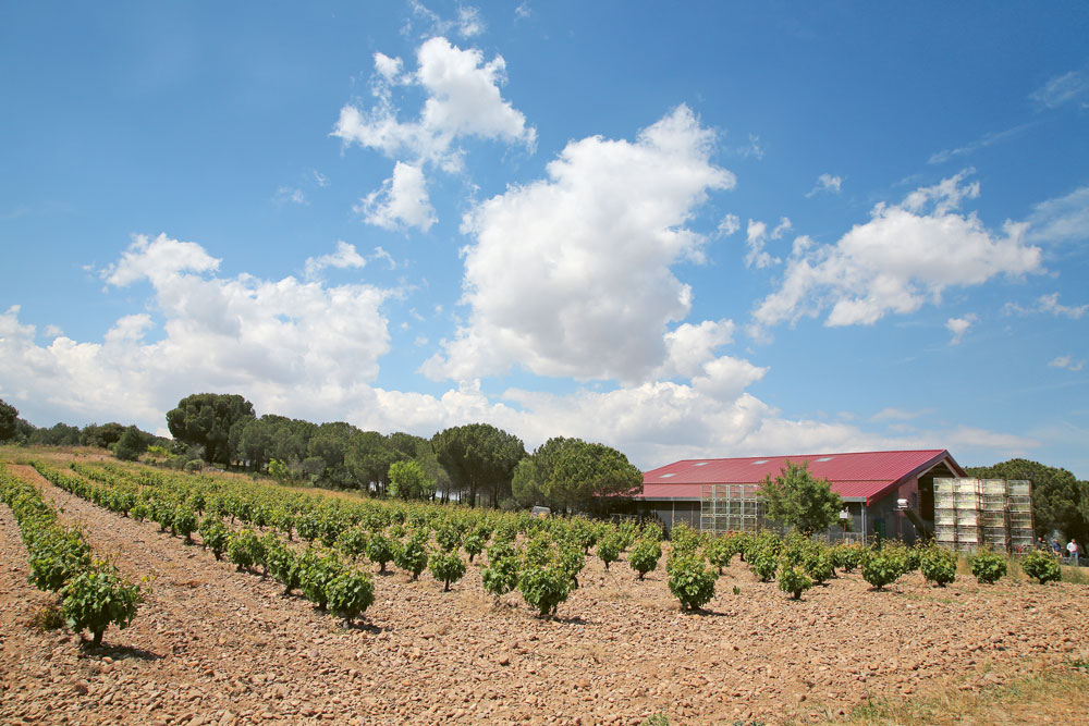 Weingutsbesuch Quinta de la Quietud