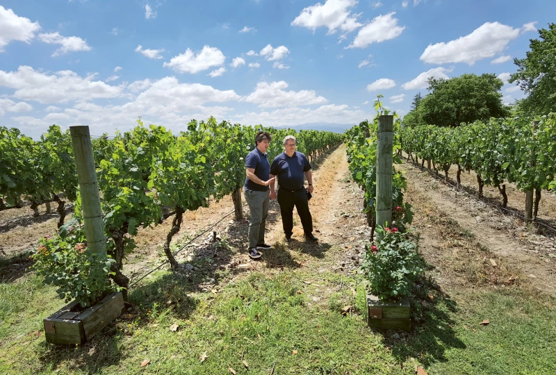 Weingutsbesuch bei Bodegas Finca la Emperatriz