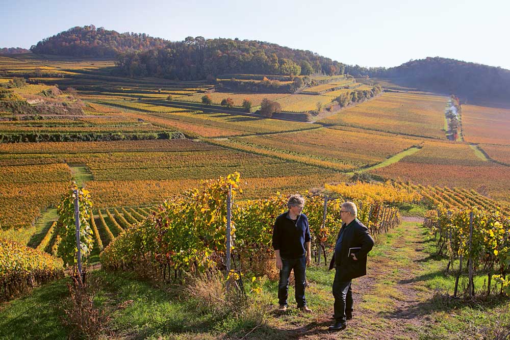 Weingutsbesuch Weingut Salwey