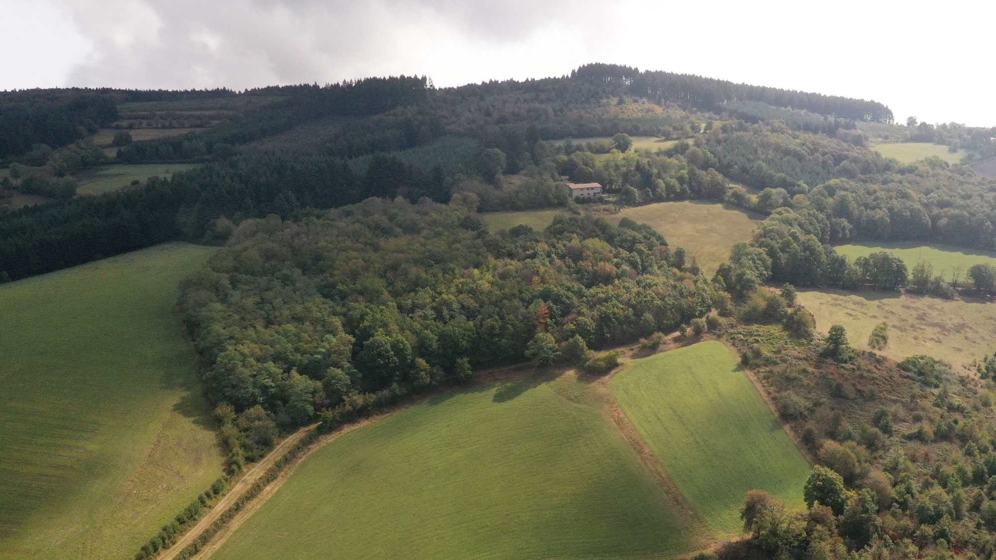 Header_1_BeaujolaisF6aAyLomScepK