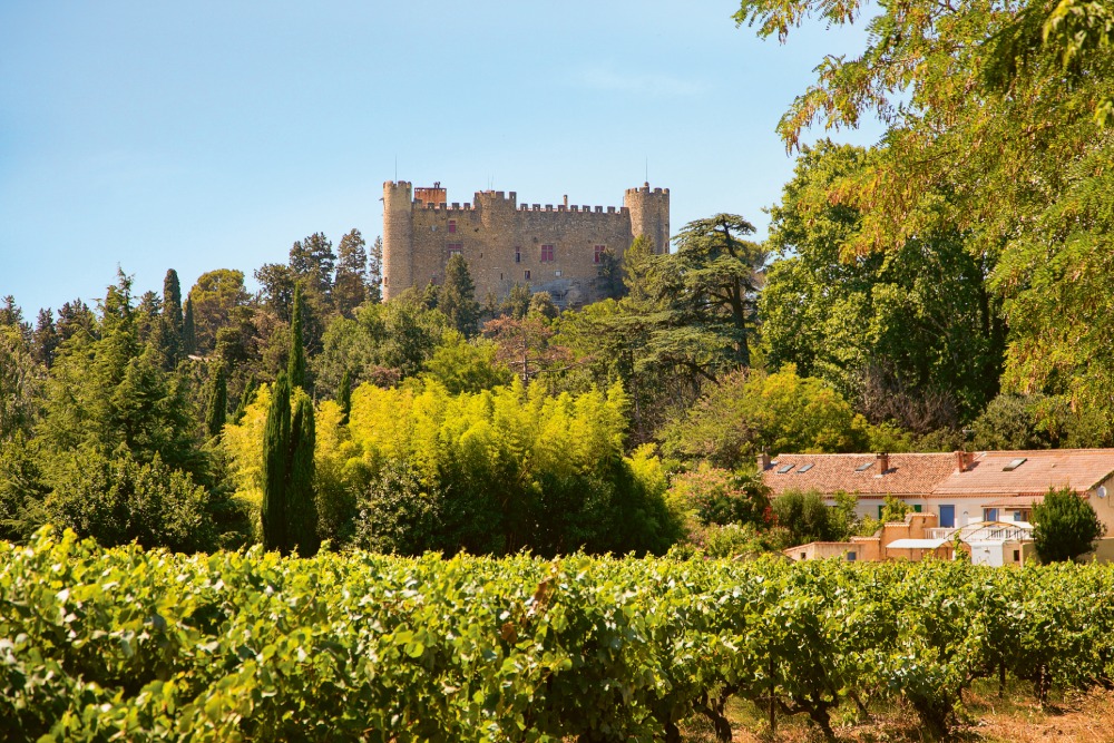 Weingutsbesuch Château de Montfaucon