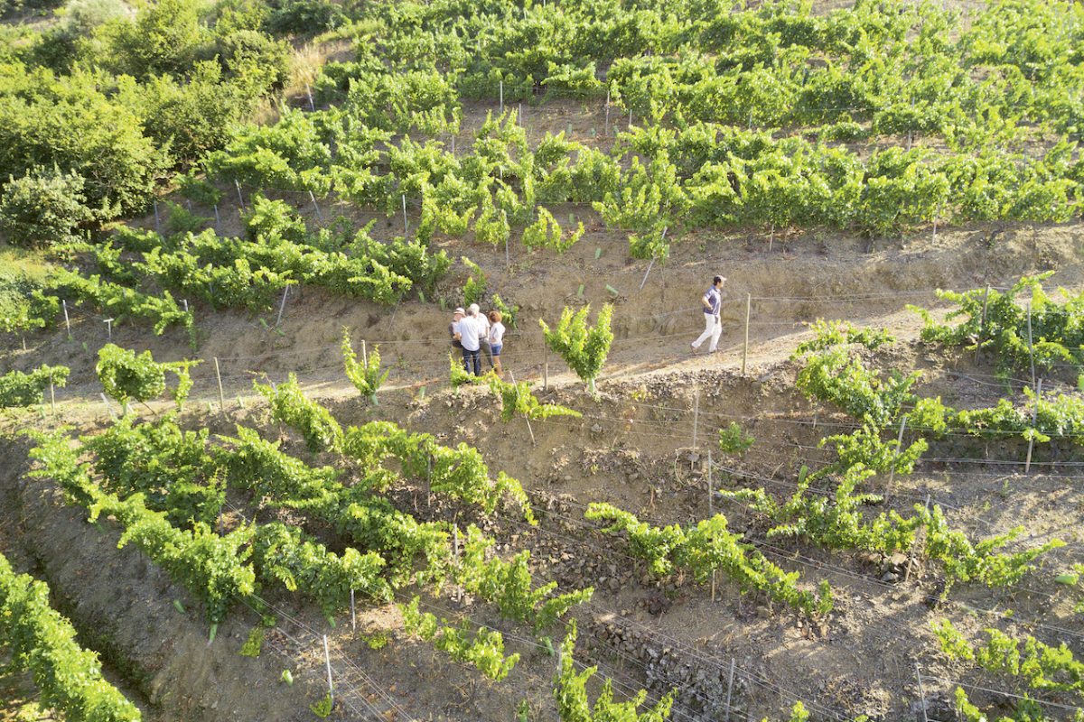 Weingutsbesuch Celler de I' Encastell