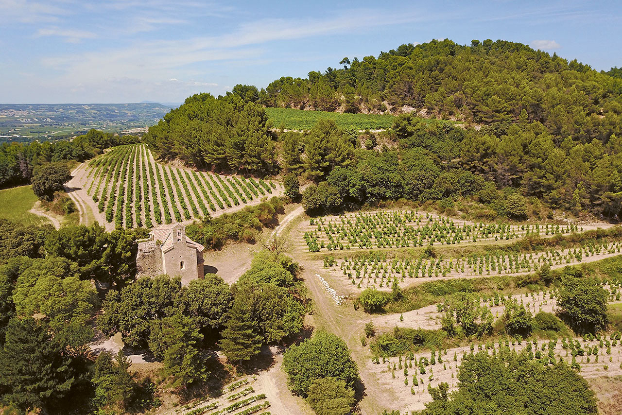 Weingutsbesuch Château de Saint Cosme